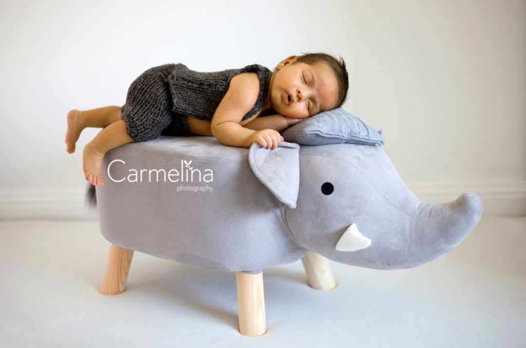 Newborn Photography Sydney